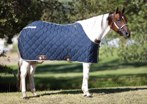 All American Blanket